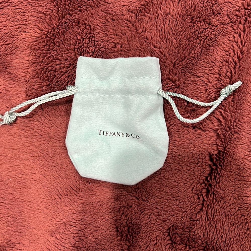 T&CO dust bag